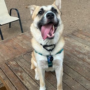 Meet your Posher, Alexander